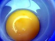 kuning telur.jpg